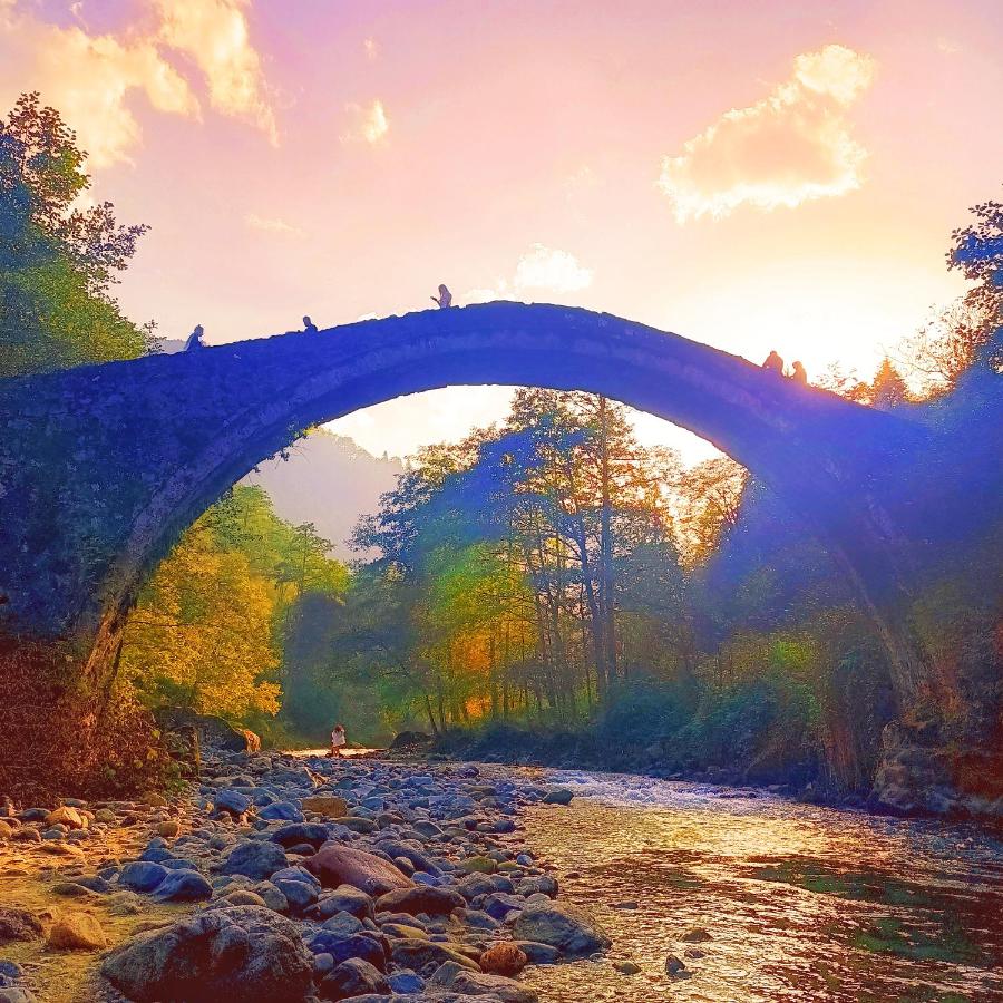 Fırtına Vadisi taş kemer köprü